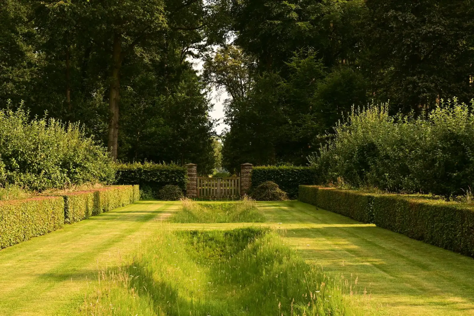 Haie taillée et pelouse entretenue dans un jardin